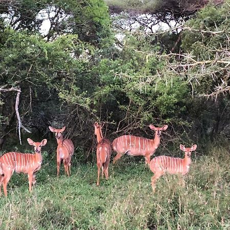 Msunduze River Lodge Mkuze エクステリア 写真