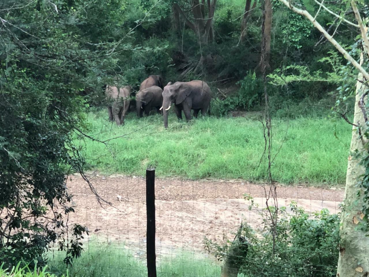 Msunduze River Lodge Mkuze エクステリア 写真