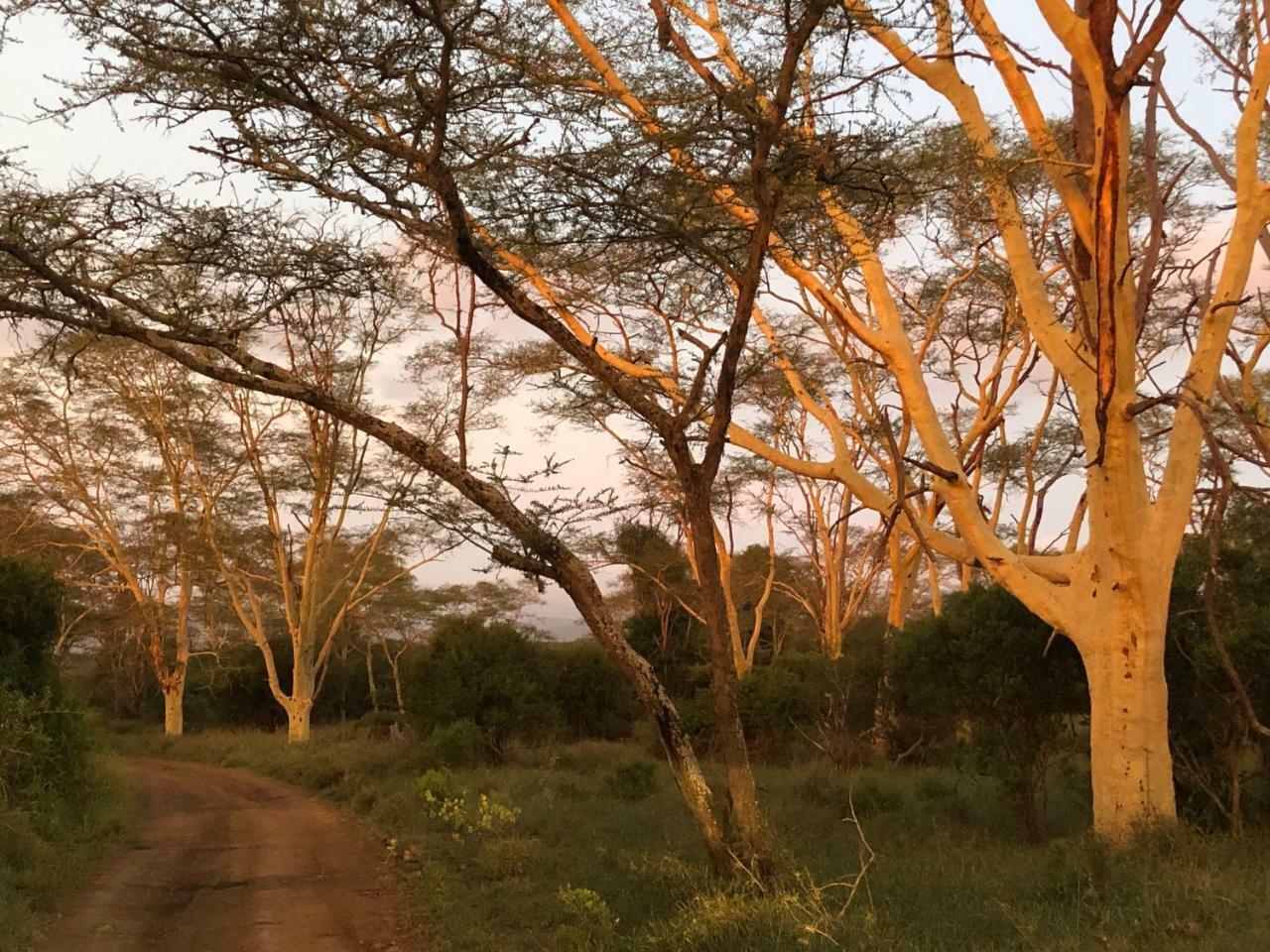 Msunduze River Lodge Mkuze エクステリア 写真